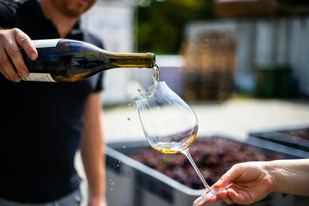Winzer mit Glas nach Ernte